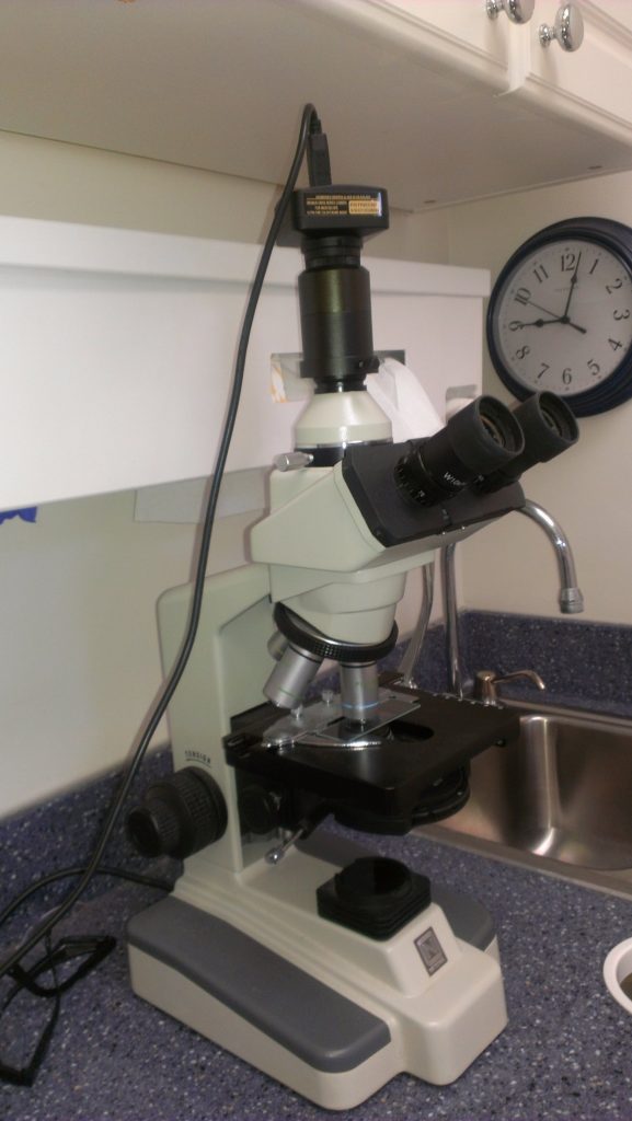 Microscope and dental technology equipment