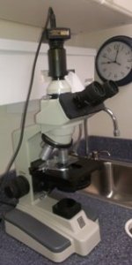 Microscope and dental technology equipment